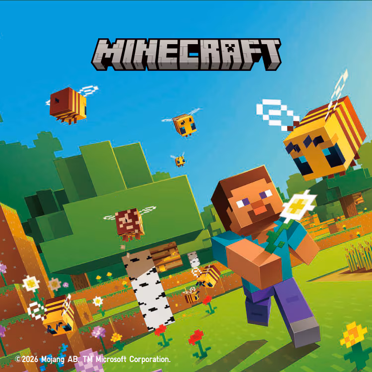 Minecraft Java (Custom Plan)